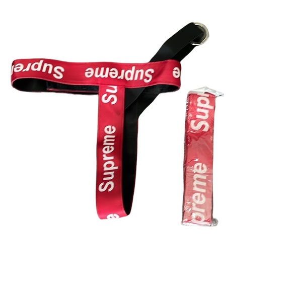 Other - harness and leash